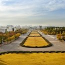 영남대학교 교원 이미지