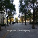 [Business]업무후기. 마이리얼트립키즈 일본과학미래관 도슨트 4번째