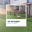 가평 바비애견풀빌라에 다녀왔콩