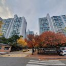 우면대림 이미지