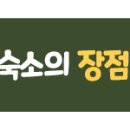 에프에프모텔 네이버블로그