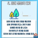 너담 이미지