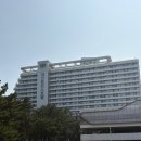 호텔로다 | [강릉] 세인트존스 호텔 숙박 후기