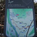 관악산 무장애숲길 이미지