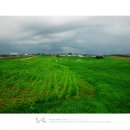 안성목장 이미지