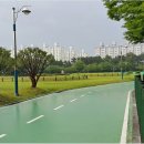 영등시민공원 인라인장 이미지