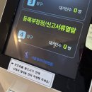&gt; 자필 출생신고서 열람/발급 후기 &lt; 서울동부지방법원