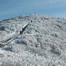 노고단-10 이미지