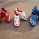 선부초등학교 이미지