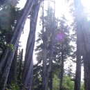 Canada's West Coast Trail(8박 9일) 이미지