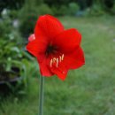 김형달농장 이미지