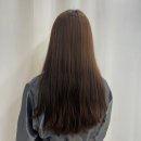 하비비 미용실 | 신사 미용실 사랑스럽고 유니크한 젤리펌 어반부띠끄하비비
