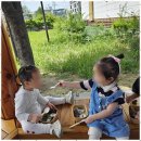 동구청어린이집 이미지