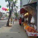 대흥365약국 이미지