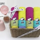 송월타올군산대리점 이미지