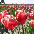 좋은생각 이미지