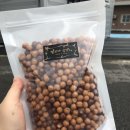 야당과선교 앞 이미지