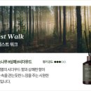 포레스트워크