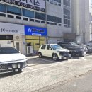 엘리시안퍼피 이미지