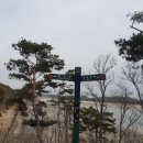 마리들농장 이미지