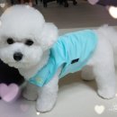 헬로우프리티 이미지