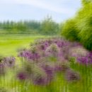 태신목장 이미지