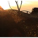 노을들녘 이미지