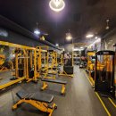 슬림한 바디 이미지