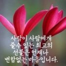 네살박이 딸의 예언이 이미지