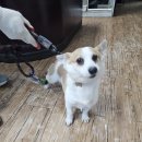 대가미공원화장실 이미지