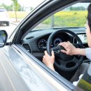 놀러갈개 이미지