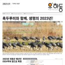 진정마을 태양광발전소 이미지