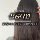 다원파마