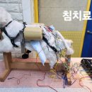 독사랑동물병원 이미지