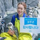 아쿠아 프랜즈 이미지