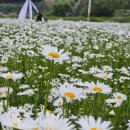 지내고탄로 이미지