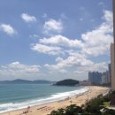 팔레드시즈