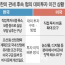 대미 이미지