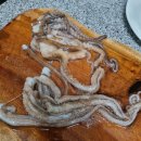 인터넷세상속으로 | [내돈내산] 가을 제철 해물 산낙지 산소포장 인터넷 구매 후기🐙