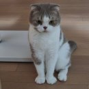 UR(서귀포시)-[동광로]-상-10 | 제주 가족 여행 3박 4일 가족 스냅 사진 남기고 아부지한테 칭찬 들은 동선
