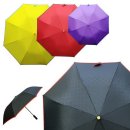 영인칼라 이미지