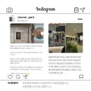 위너피티 이미지