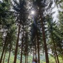 (야간)치유요가 이미지