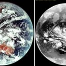 위성메디칼 이미지