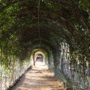 주식회사 힐링팜 이미지