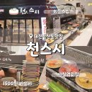 남 천 | 대전 둔산동 천스시 가성비회전초밥 시청역맛집 내돈내산 후기