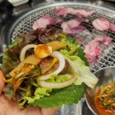 이현숯불갈비 | 대구 삼덕동 고기집 맛집 돼지갈비 동덕숯불 후기