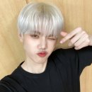 미니콩 이미지