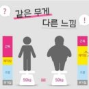 콩실언니 네이버블로그