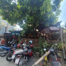 매니아카 이미지